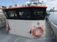 Catamaran à vendre
