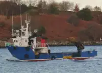 Bateaux de travail à vendre