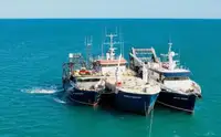 Navire d'approvisionnement à vendre