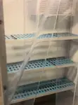 Navire mixte (croisière et transport de marchandises) à vendre