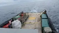 Bateau patrouilleur à vendre