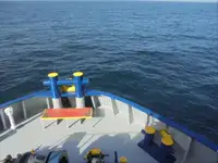 Navire frigorifique à vendre