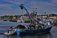 Chalutier à senne à vendre
