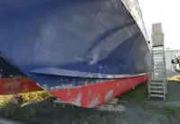 Catamaran à vendre