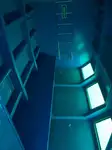 Navire de croisière à vendre