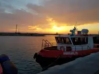 Bateaux de travail à vendre