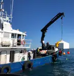 Bateaux de travail à vendre