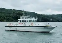 Bateau patrouilleur à vendre
