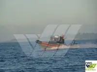 Bateau pneumatique rigide à vendre