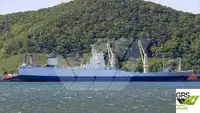 Ro-Ro ship à vendre