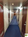 Navire de croisière à vendre
