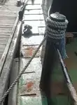 Bateaux de travail à vendre