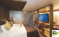 Navire de croisière à vendre