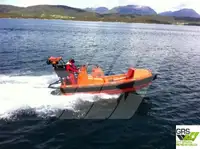 Bateau pneumatique rigide à vendre