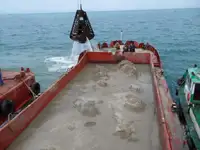 Péniche à vendre