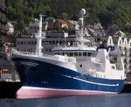 Purse seiner à vendre