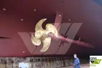 Navire de croisière à vendre
