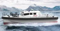 Bateau pilote à vendre