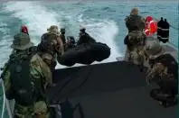 Bateau patrouilleur à vendre