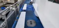 Catamaran à vendre