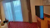 Navire de croisière à vendre