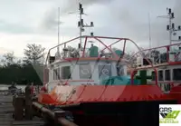 Bateaux de travail à vendre