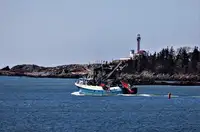 Chalutier à senne à vendre