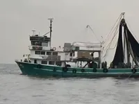 Chalutier à senne à vendre
