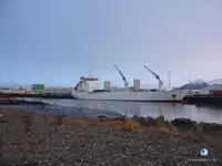 Navire frigorifique à vendre