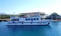 Catamaran à vendre