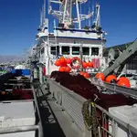 Chalutier à senne à vendre