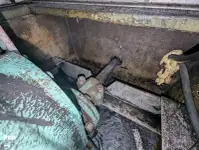 Navire mixte (croisière et transport de marchandises) à vendre
