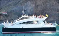 Catamaran à vendre