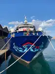 Bateau de croisière à vendre