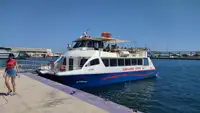 Catamaran à vendre