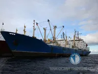 Navire frigorifique à vendre
