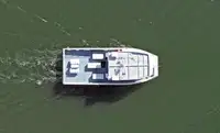Catamaran à vendre