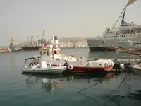 Bateaux de travail à vendre