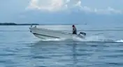 Bateaux de travail à vendre