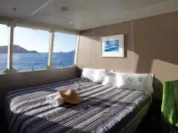 Catamaran à vendre