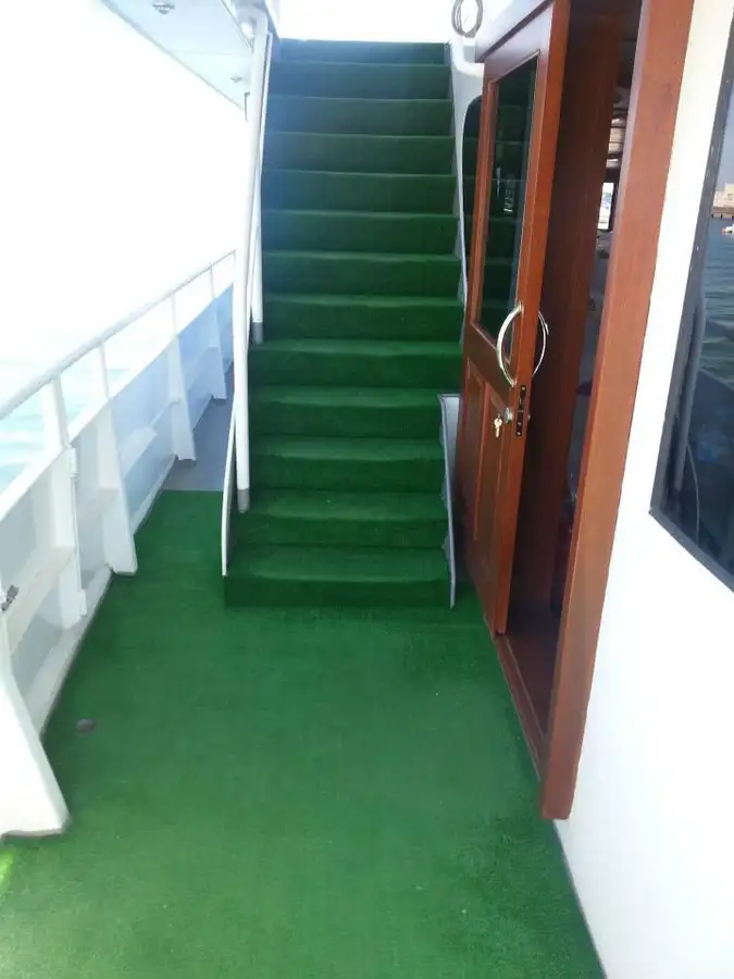 Navire de croisière à vendre