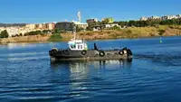 Bateaux de travail à vendre