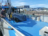 Navire-ferry à vendre