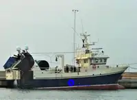 Navire pour la transformation et la livraison de poisson à vendre