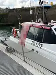 Bateau pilote à vendre