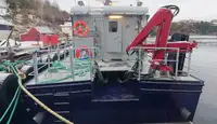Bateaux de travail à vendre