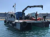 Catamaran à vendre