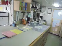 Bateau patrouilleur à vendre