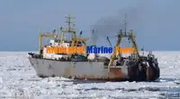 Navire frigorifique à vendre