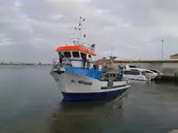 Remorqueur à vendre
